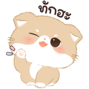 Jaomeow: Chanom 2 Sticker for LINE & WhatsApp | ZIP: GIF & PNG
