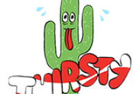 Thirsty Cactus