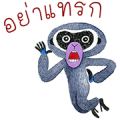 Shaneezaa