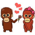Otan the Orangutan