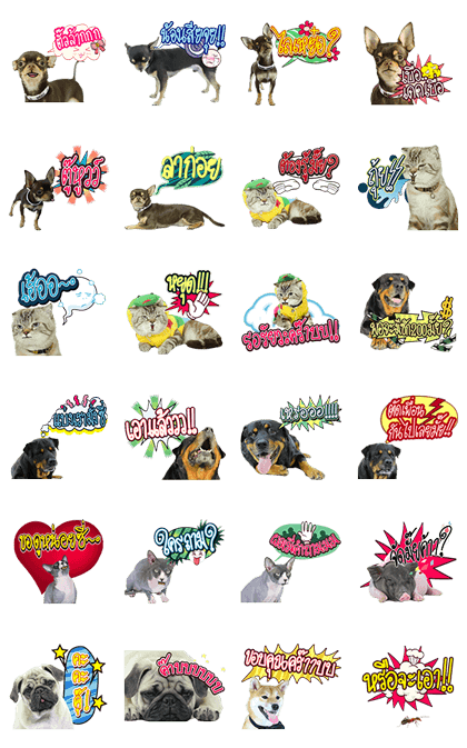 We are Lovely Pet: Animated with Sound