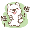 Shiba Chai Chai Loves to Play! Love