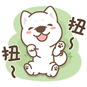 Shiba-Chai-Chai-Loves-to-Play-