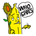 Jazz & Nango Mr. Banana x Collaboration + Combo
