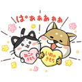 Pawsitively Pawesome Dogs & Cats: Shibataro and Hachiko 2 & 3 Pawsitively Pawesome Dogs & Cats: Shibataro and Hachiko 2 & 3