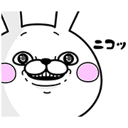 Rabbit100% in Motion Rabbit100-in-Motion-