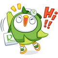 Robin Bird + FuFu