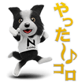 Run! N CORO 3D