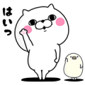 Hulu × Cat 100%