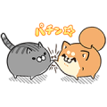 Plump Dog and Cat × Fun Accounts