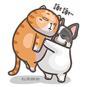 Pcone × France Bulldog HAN-JI: Pop-Ups Pcone-×-France-Bulldog-HAN-JI-Pop-Ups-