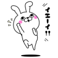 Rabbit 100% × AlpenGroup