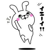 Rabbit 100% × AlpenGroup Rabbit-100-×-AlpenGroup-
