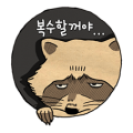 Iʹm the Crazy RACCOON Around Here