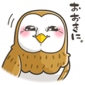 Lil’ Owly / Fukuko-san