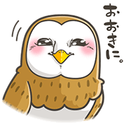 owly iphone owly iphone