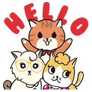 Little Orange MQ Cat Little-Orange-MQ-Cat-