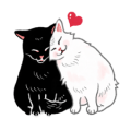 The Real Cutie Cat The Real Cutie Cat
