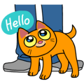 Tora Tora