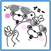 Bear and Cat 100% Bear-and-Cat-100-