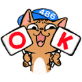 486 Shop × Grumpy aChiu Meow’s Daily Life