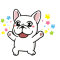 DOCA: The Happiest Dogs in the World