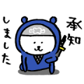Joke Bear × dmagazine