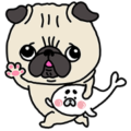 PUG × KOPOTAN PUG × KOPOTAN