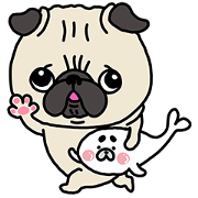 PUG × KOPOTAN PUG-×-KOPOTAN-