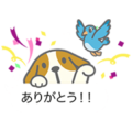 Enta and Friends