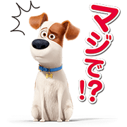 Pet Pet-
