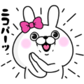 Rabbit 100% × Talk CARE