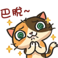 IPLAY × CRAZYCAT