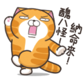 Lan Lan Cat: So Lively!