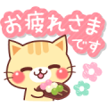 Free A lot of cats. LINE sticker for WhatsApp