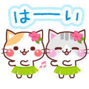 Animated Cats 5 (Summer) Sticker for LINE & WhatsApp | ZIP: GIF & PNG