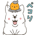 Corgi and Robin