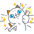 DHC Cat Yoshiko Tamagawa: She’s Back!
