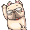 French Bulldog PIGU-Animated Sticker VII