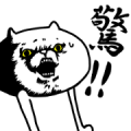 Intense Cat Part 11 Intense Cat Part 11