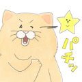 Nekonaughey × LINE Points