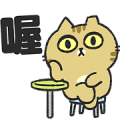 Practical word of Sinko’s cats