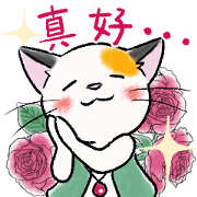 Tortoiseshell Cat Mitch Sticker for LINE & WhatsApp | ZIP: GIF & PNG