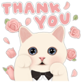 [BIG] CHOO CHOO CAT Thankful Stickers Sticker for LINE & WhatsApp | ZIP: GIF & PNG