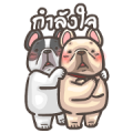 French Bulldog PIGU-Animated Sticker V Sticker for LINE & WhatsApp | ZIP: GIF & PNG
