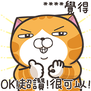 Lan Lan Cat: Custom Stickers Part 1 Sticker for LINE & WhatsApp | ZIP: GIF & PNG