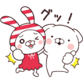SHIMAMURA × Cute White Dogs SHIMAMURA × Cute White Dogs
