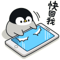 Baby of a Gentle Penguin 2 Baby of a Gentle Penguin 2