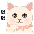 CHOO CHOO CAT’S LOVE TALK