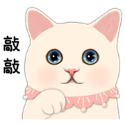 CHOO CHOO CAT'S LOVE TALK CHOO CHOO CAT'S LOVE TALK Sticker for LINE & WhatsApp | ZIP: GIF & PNG
